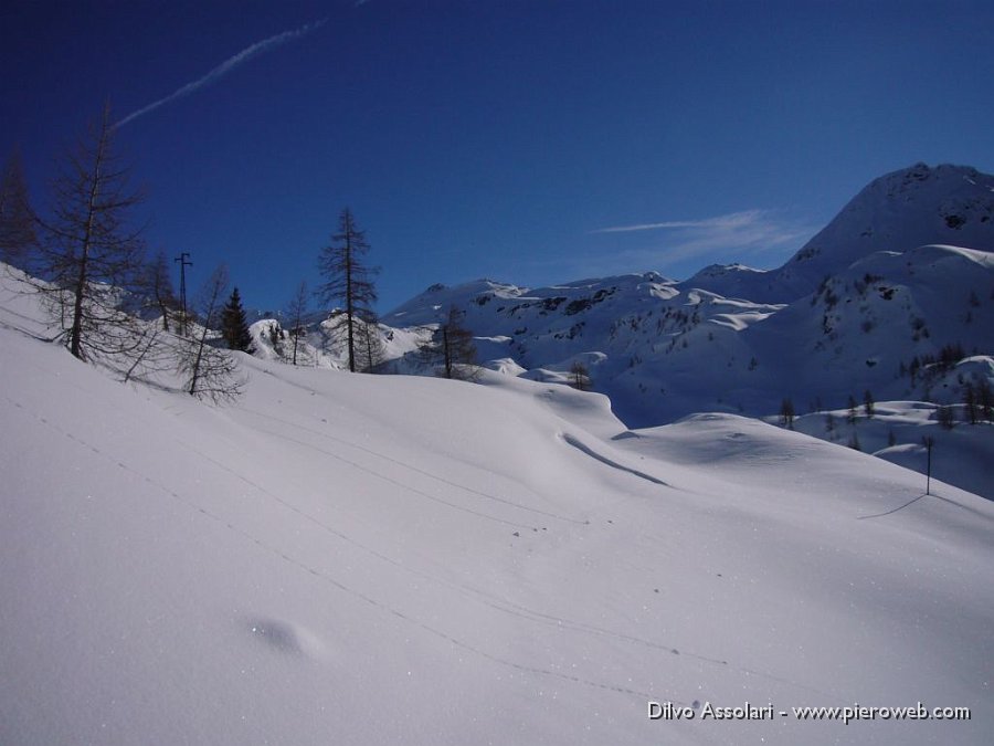 15 Ma quanta neve c'è ....JPG